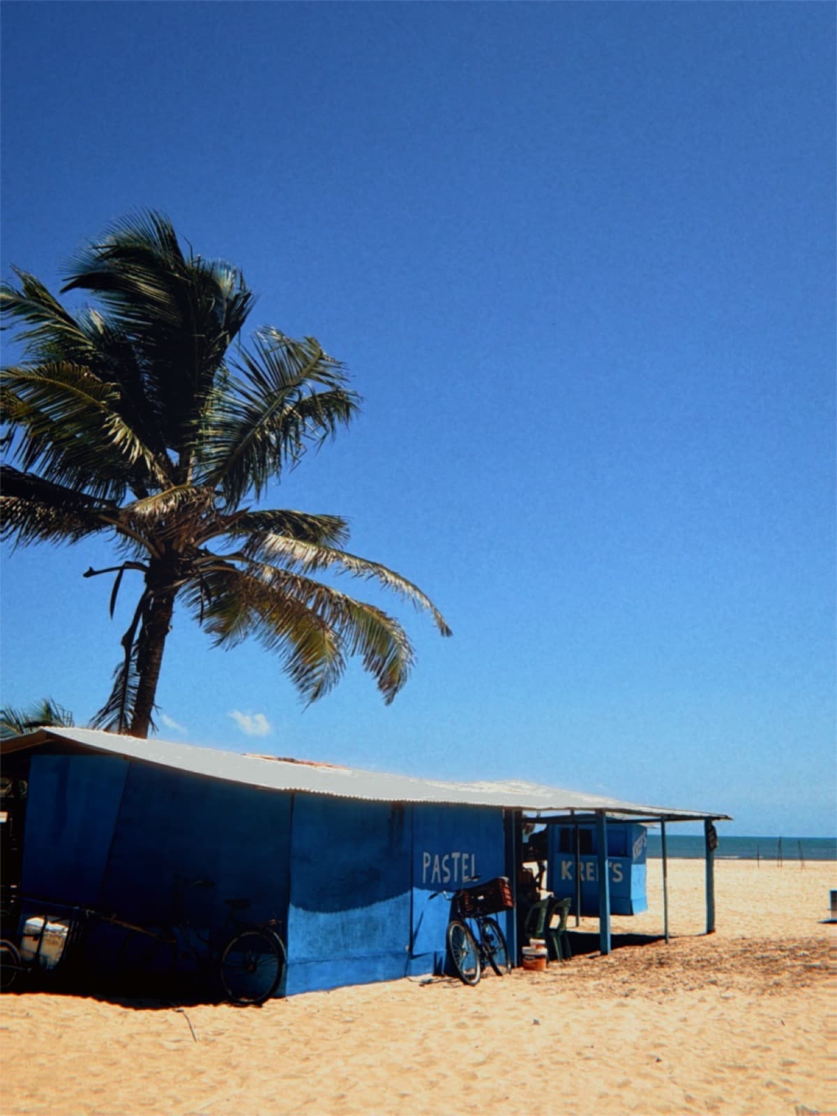 Photo developed with the Coastline 30 camera