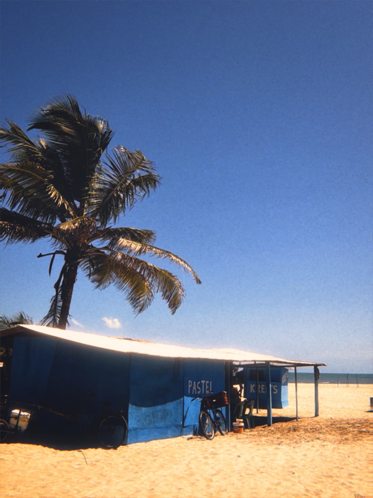 Photo developed with the Sunprint 30 camera